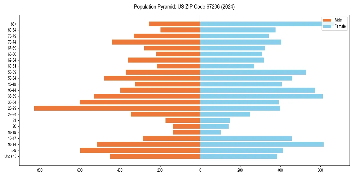 Population pyramid for 