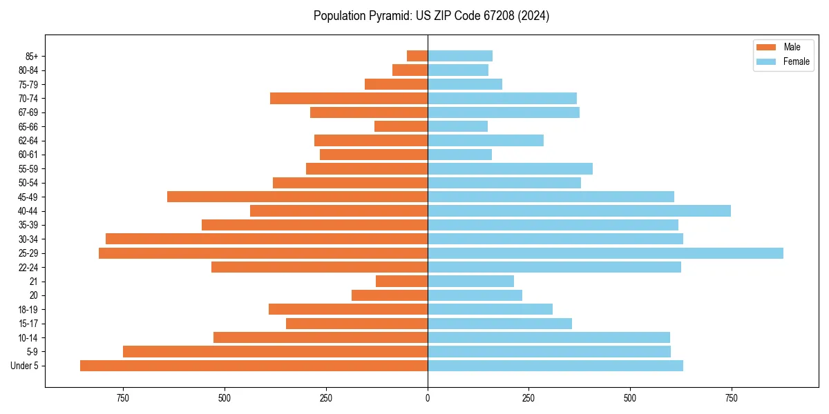 Population pyramid for 