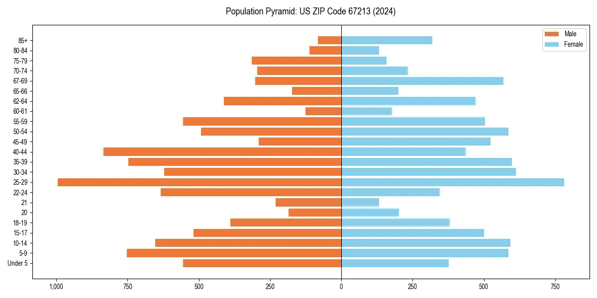 Population pyramid for 