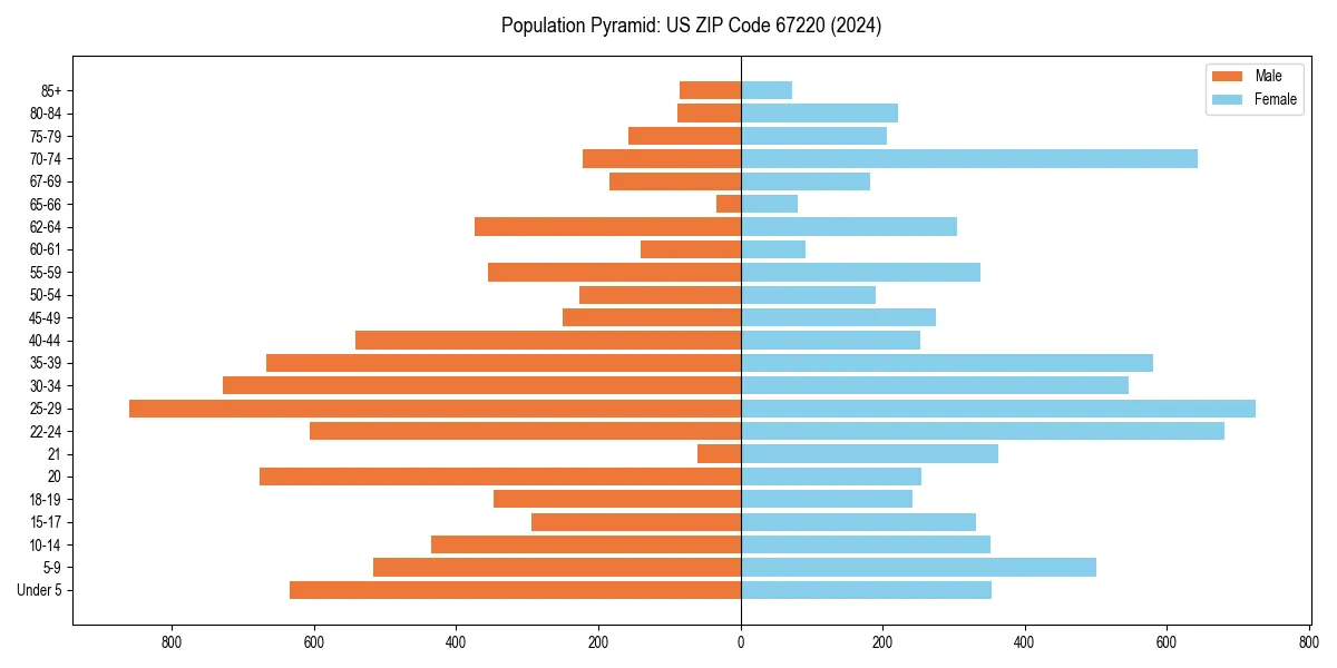 Population pyramid for 