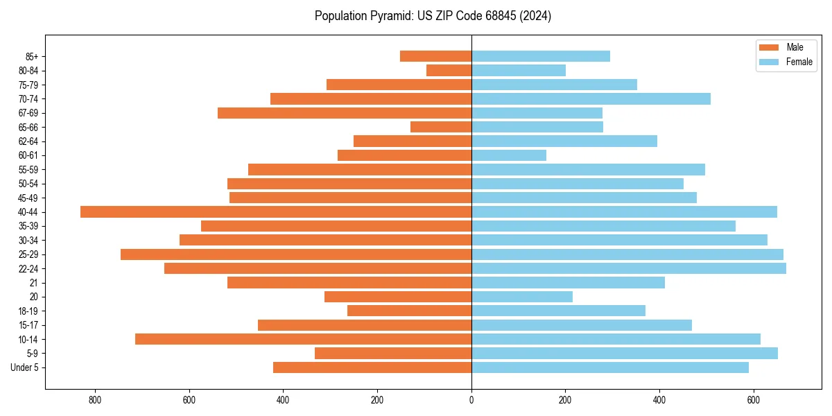 Population pyramid for 