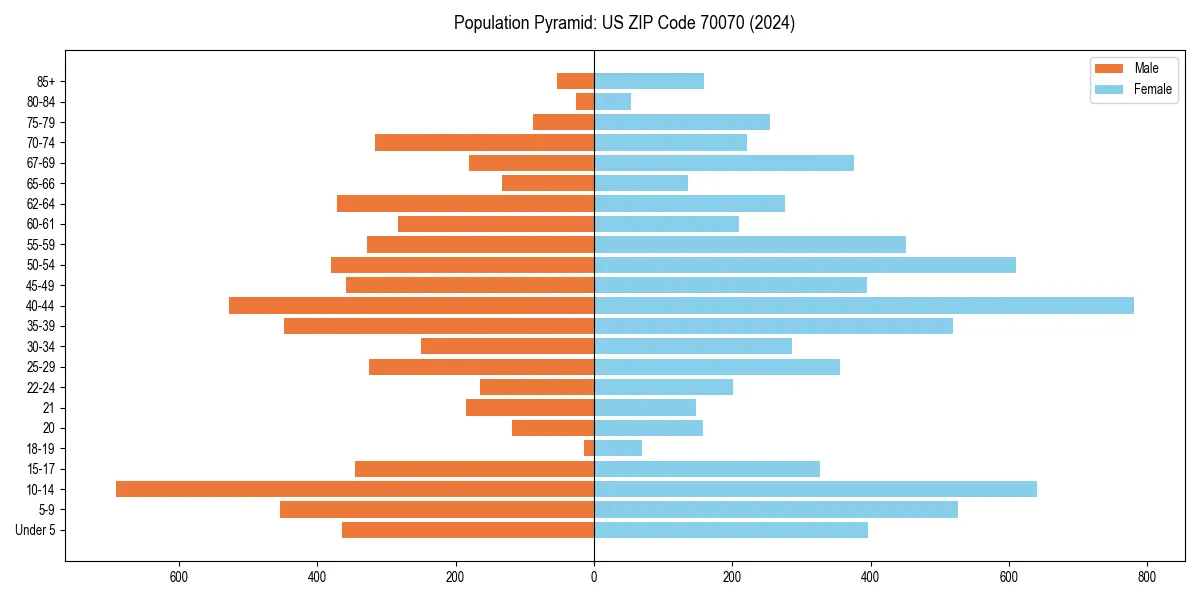 Population pyramid for 