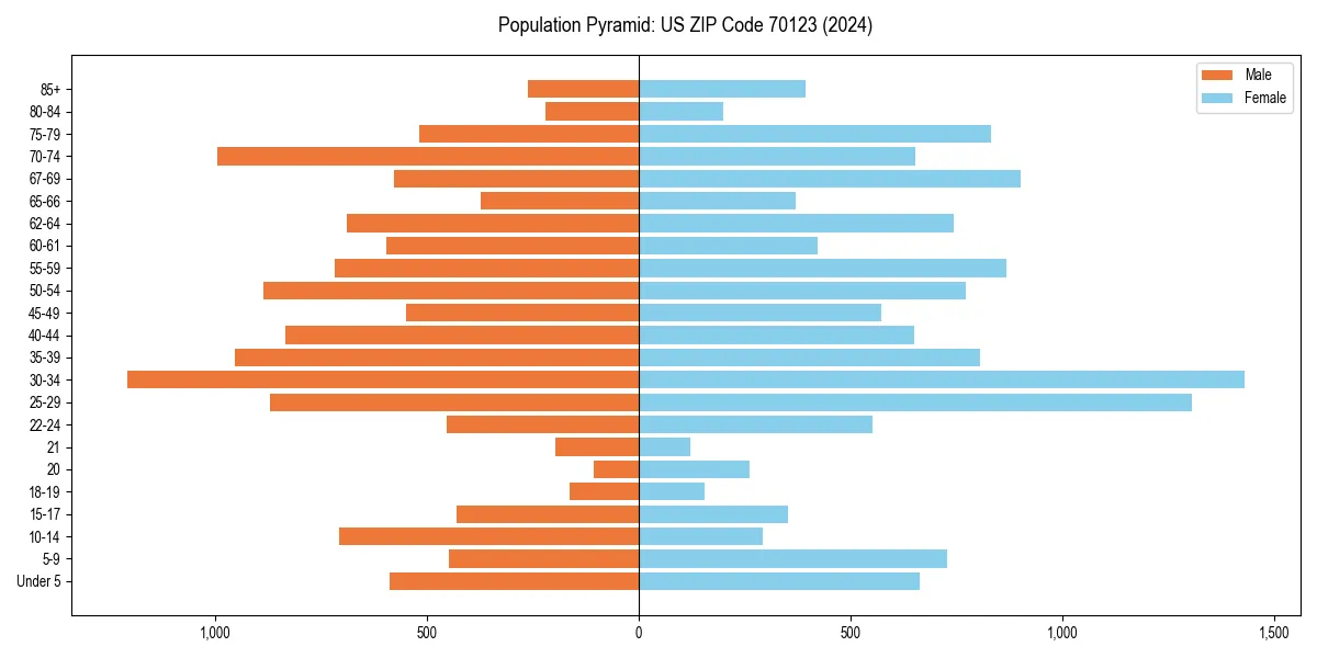 Population pyramid for 