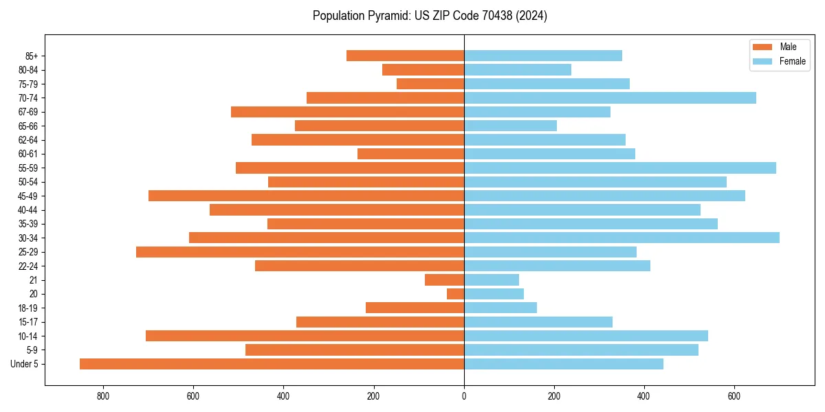 Population pyramid for 