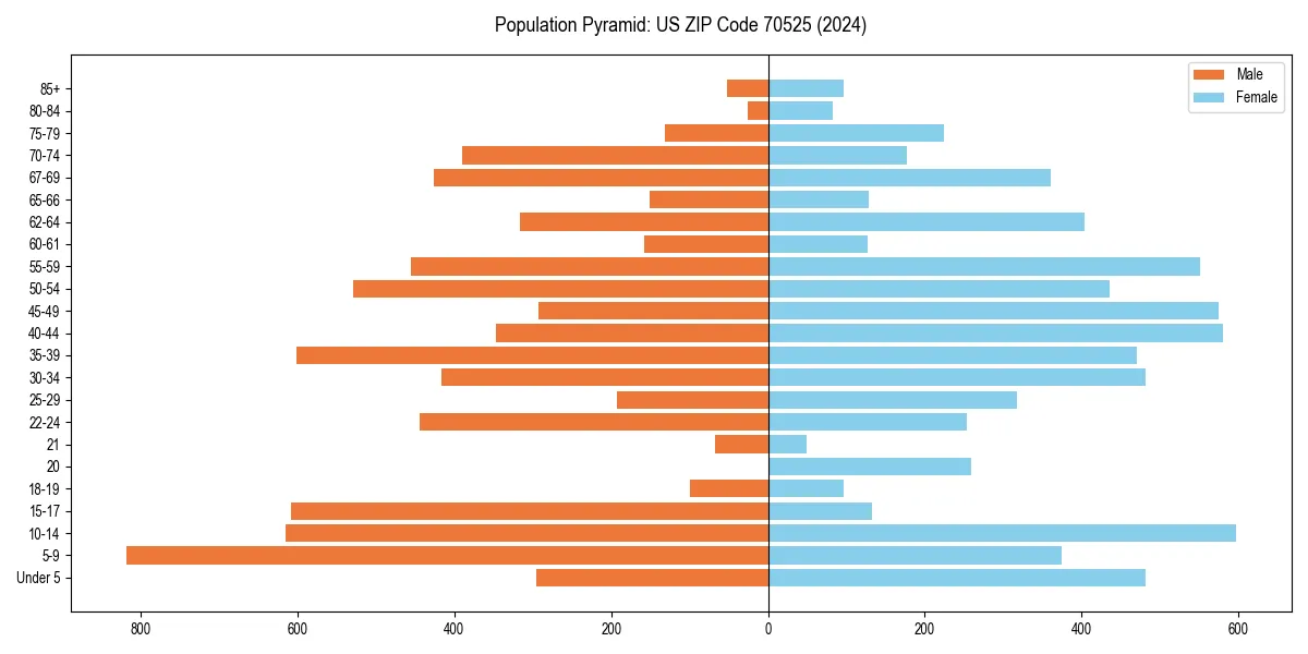 Population pyramid for 