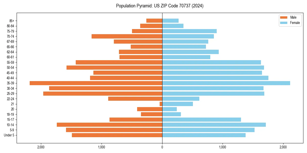 Population pyramid for 