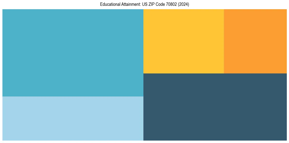 Education Treemap for  in 2024
