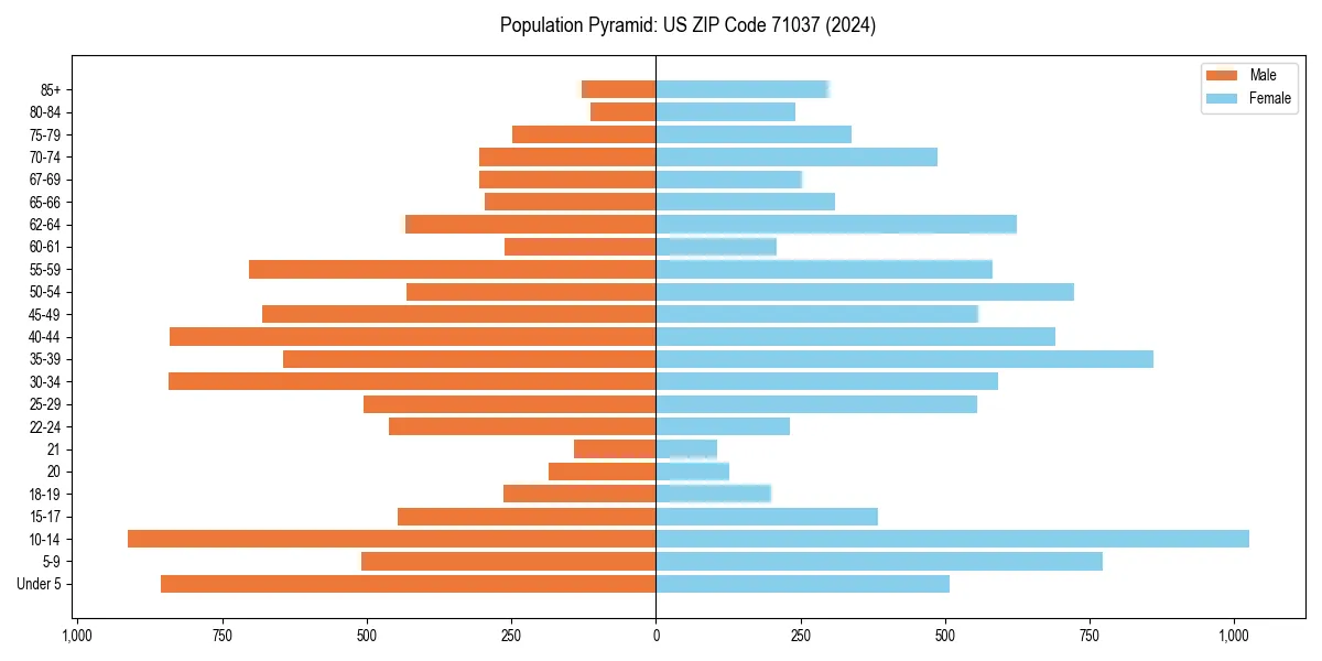 Population pyramid for 