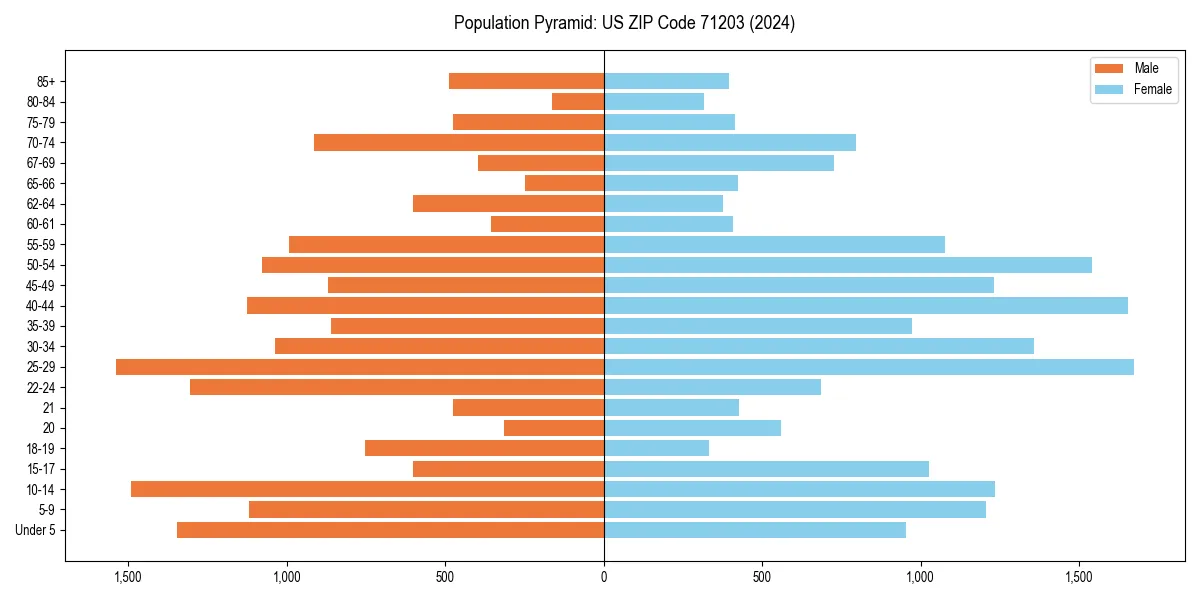 Population pyramid for 