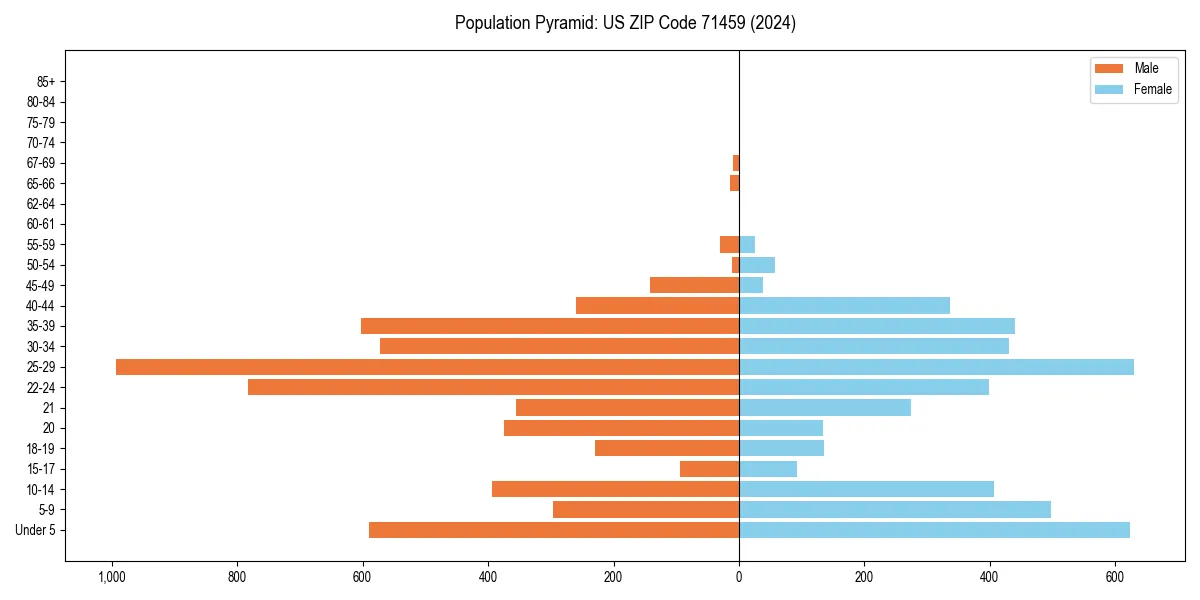 Population pyramid for 
