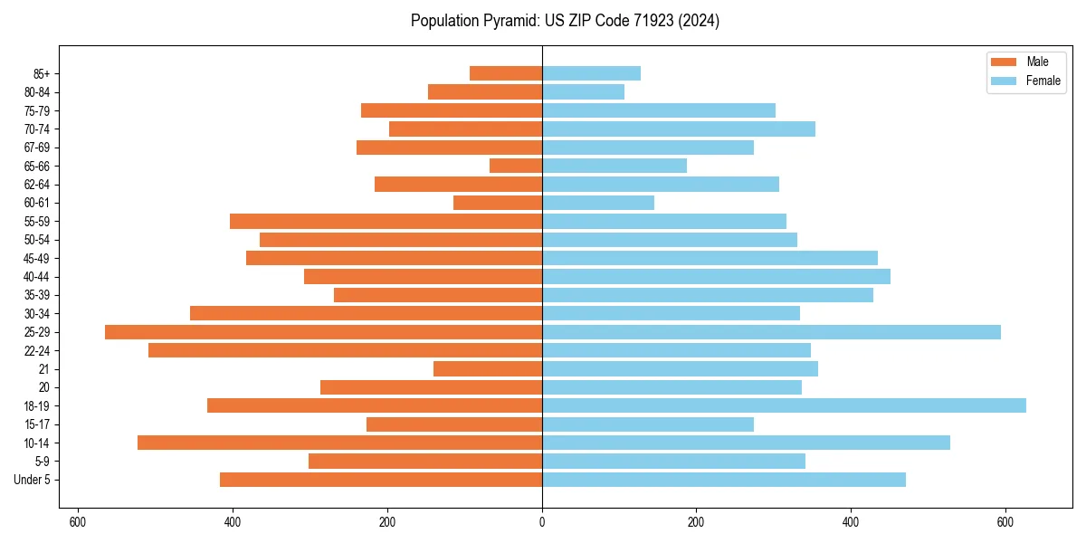 Population pyramid for 