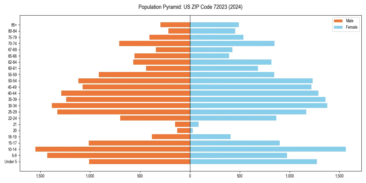 Population pyramid for 