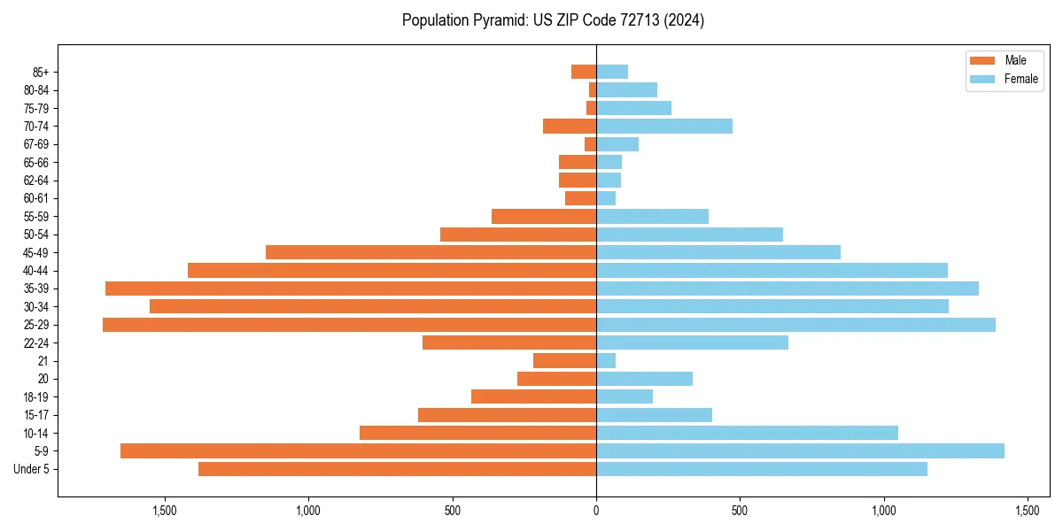Population pyramid for 