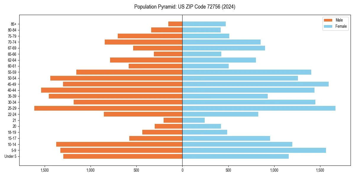 Population pyramid for 