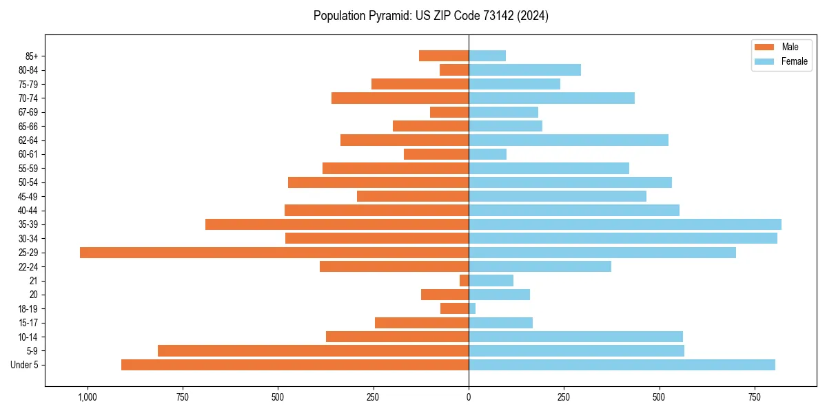 Population pyramid for 