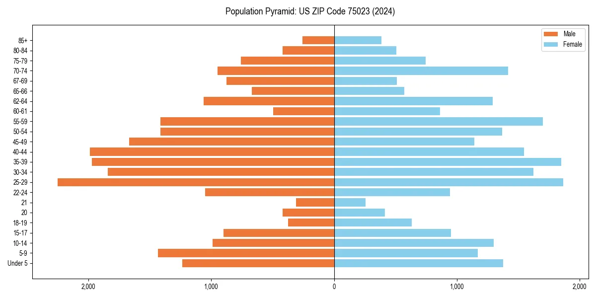 Population pyramid for 