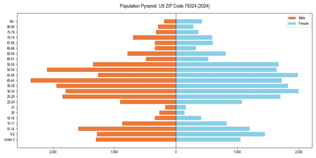 Population pyramid for 
