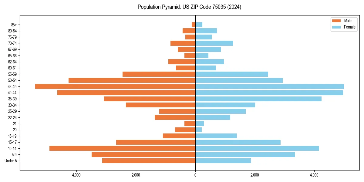 Population pyramid for 