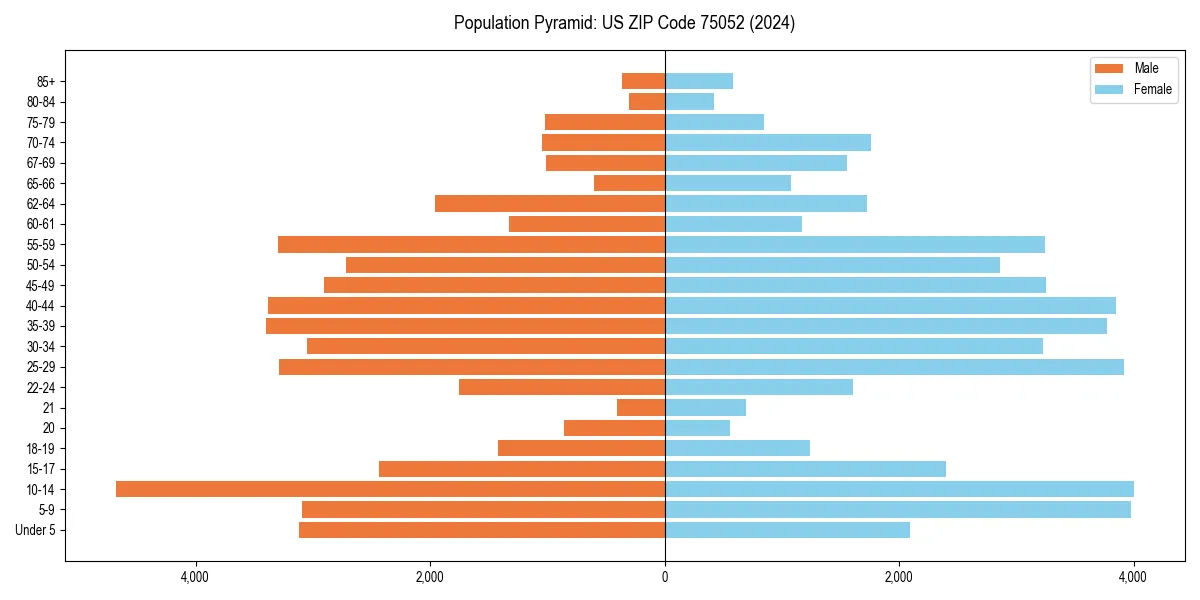 Population pyramid for 