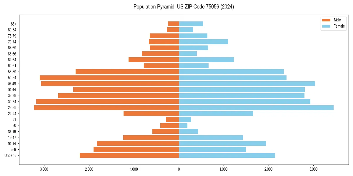Population pyramid for 