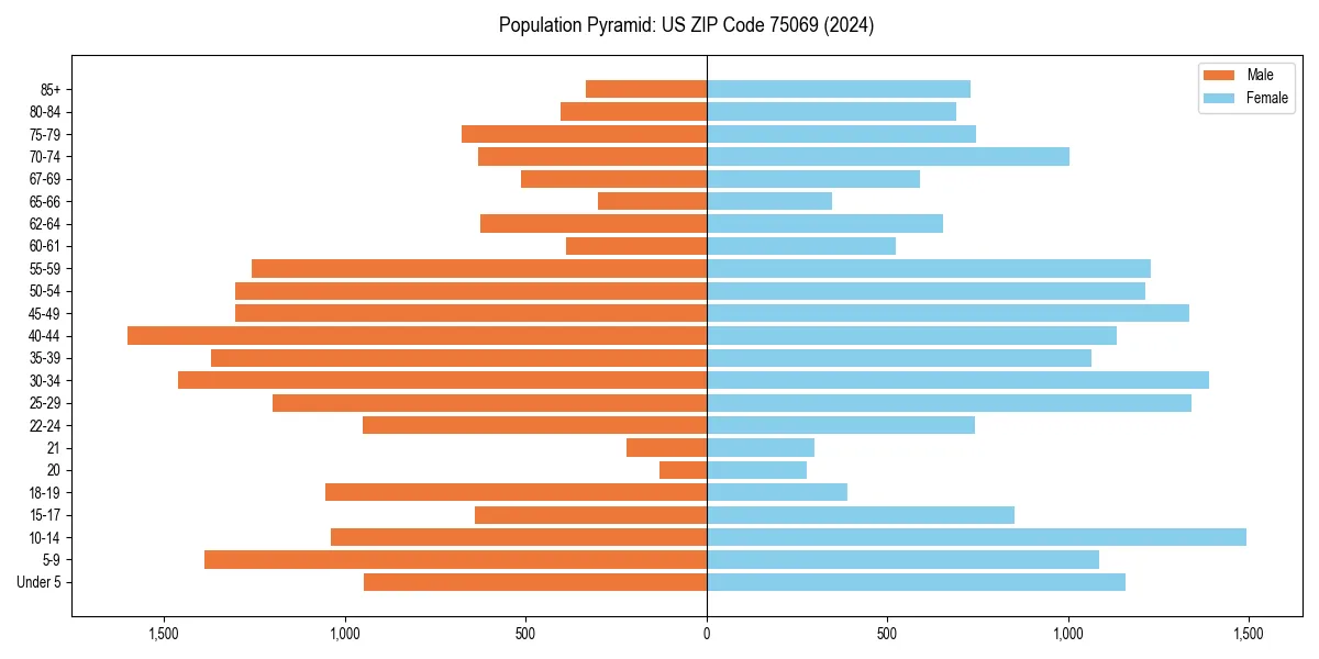 Population pyramid for