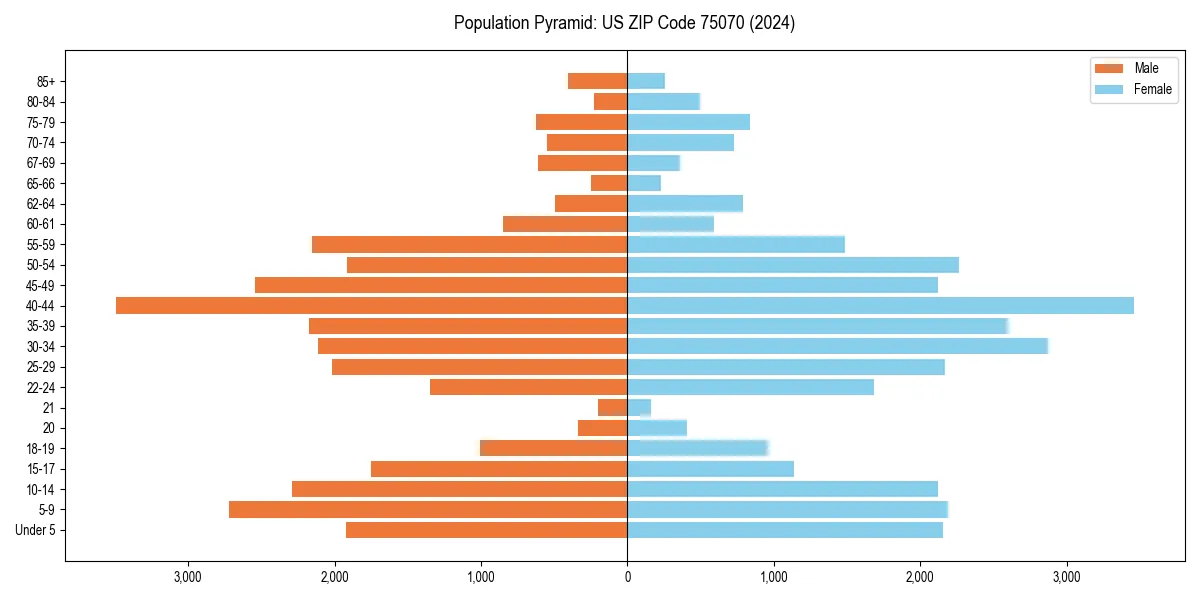 Population pyramid for