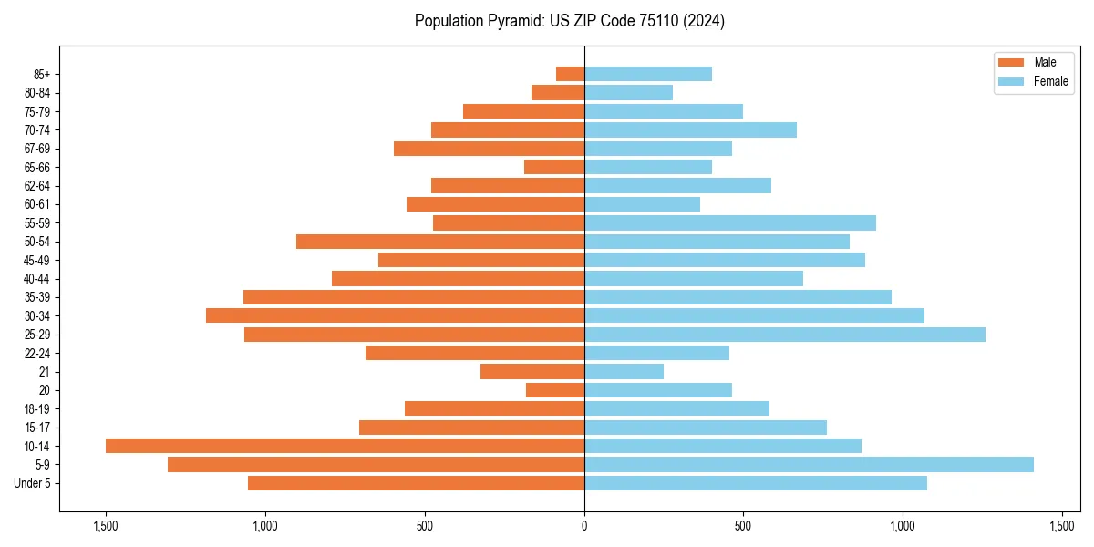 Population pyramid for 