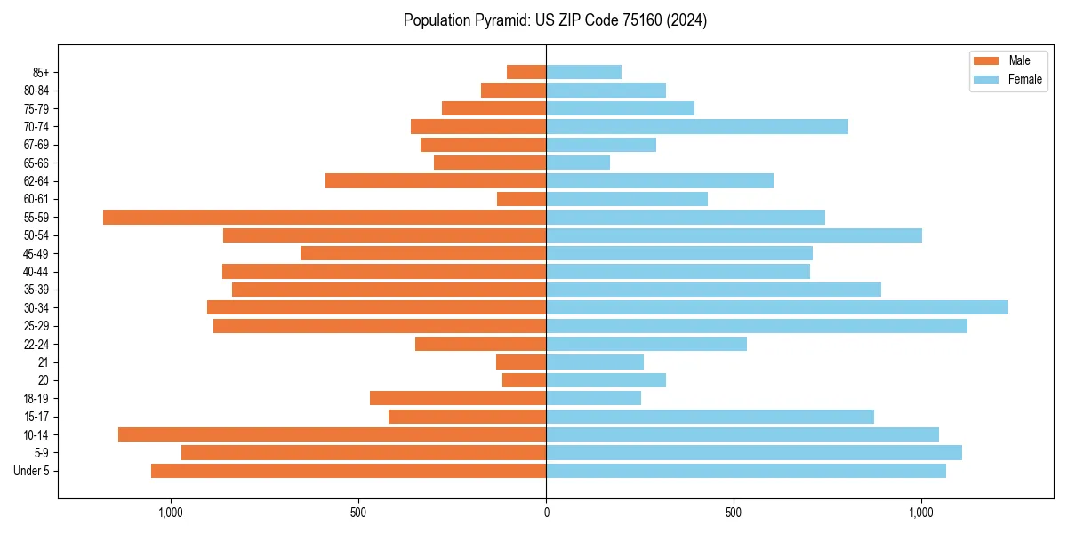 Population pyramid for 