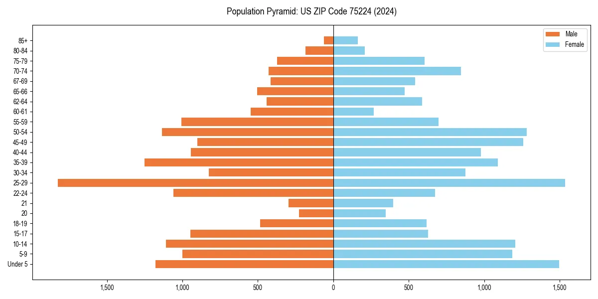 Population pyramid for 
