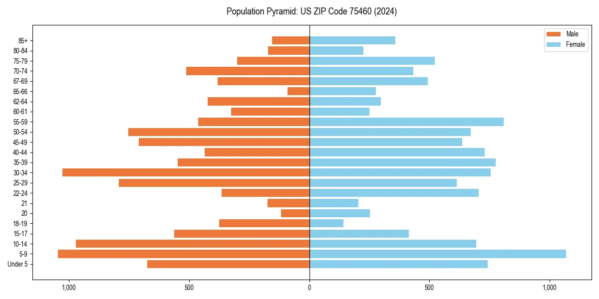Population pyramid for 