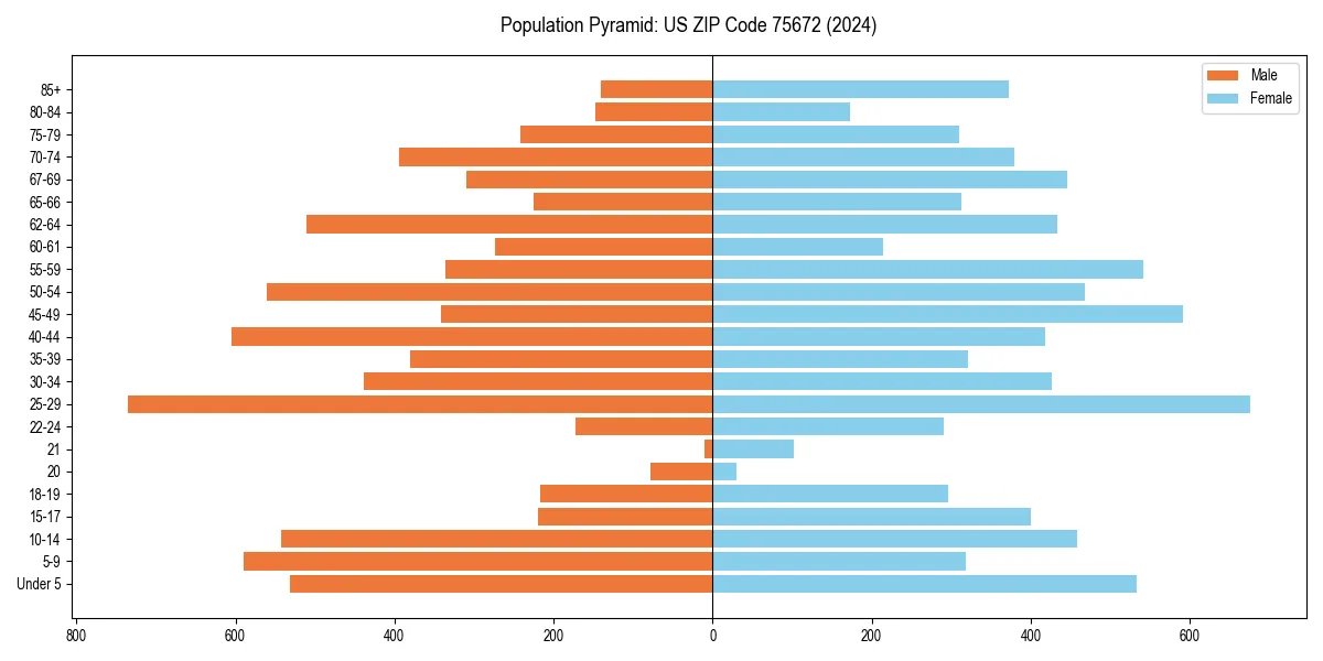 Population pyramid for 