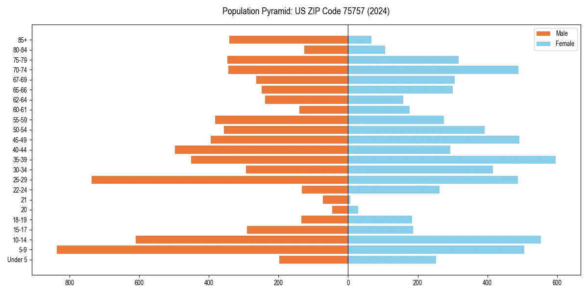 Population pyramid for 