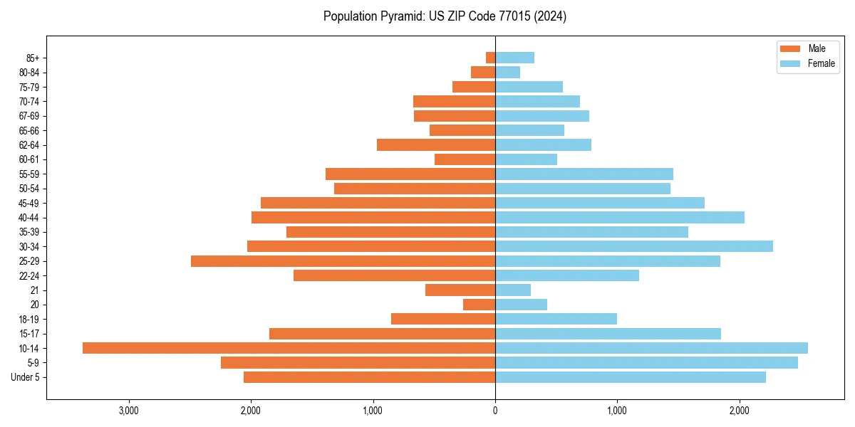 Population pyramid for 