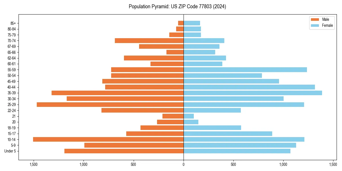 Population pyramid for 
