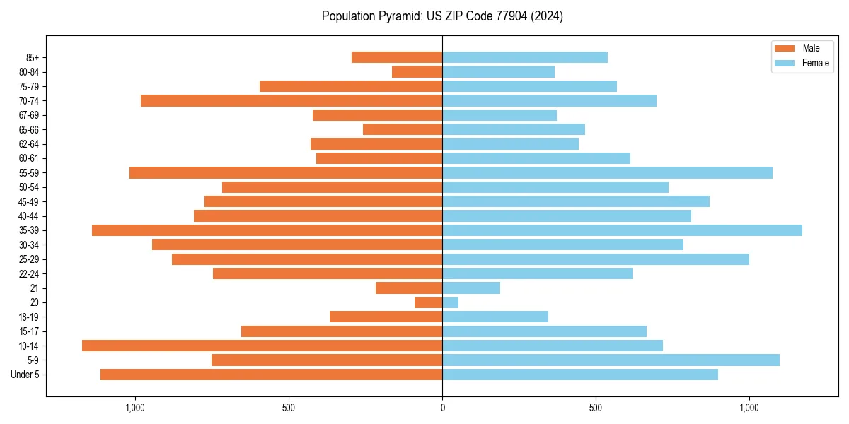 Population pyramid for 