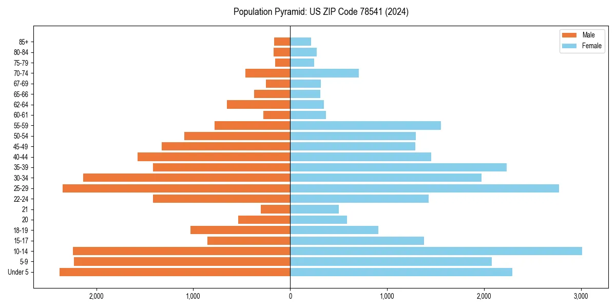 Population pyramid for 