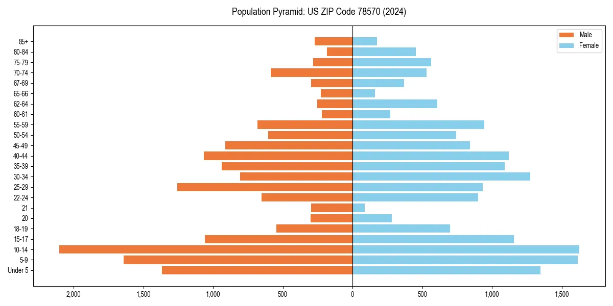 Population pyramid for 