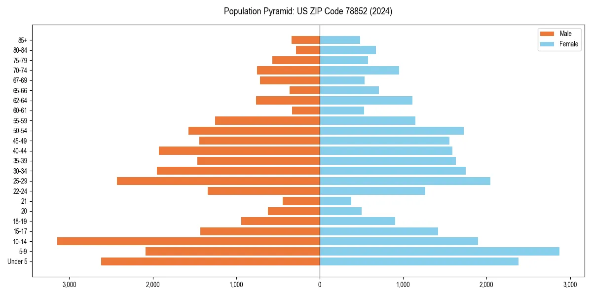 Population pyramid for 