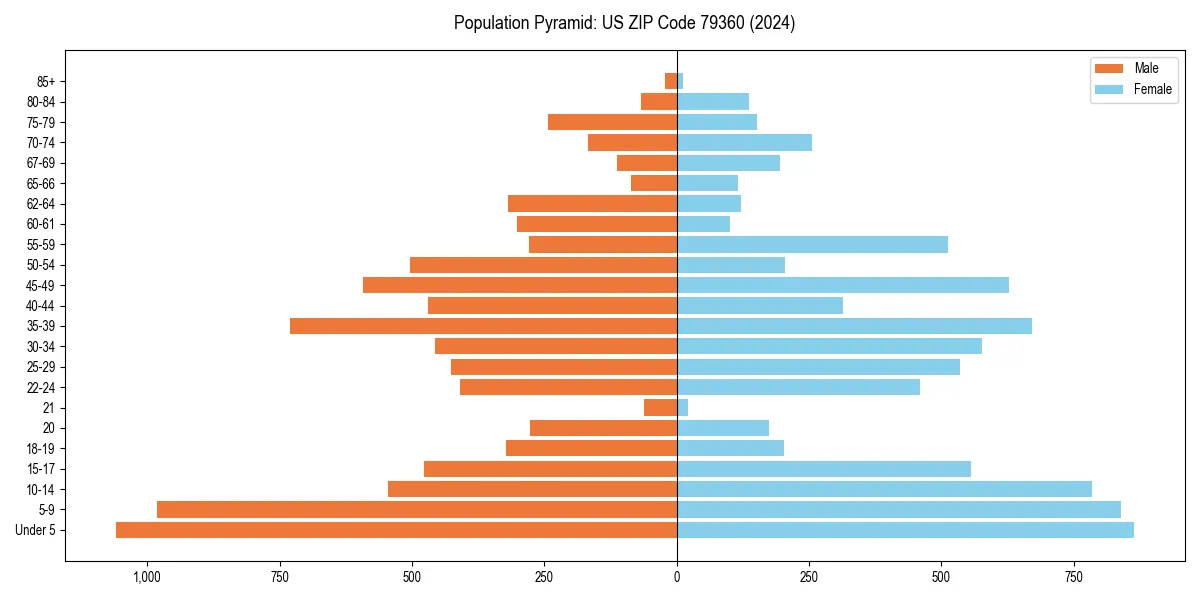 Population pyramid for 