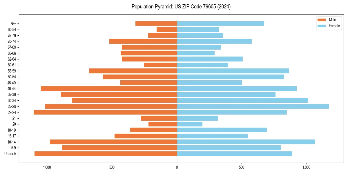 Population pyramid for 