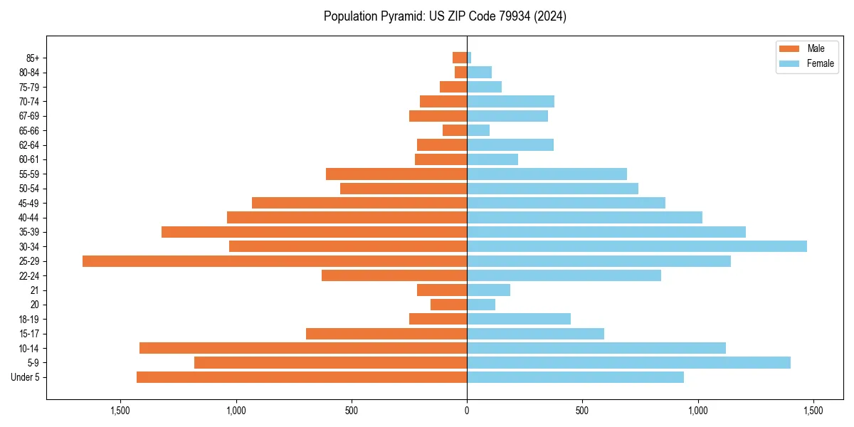 Population pyramid for 