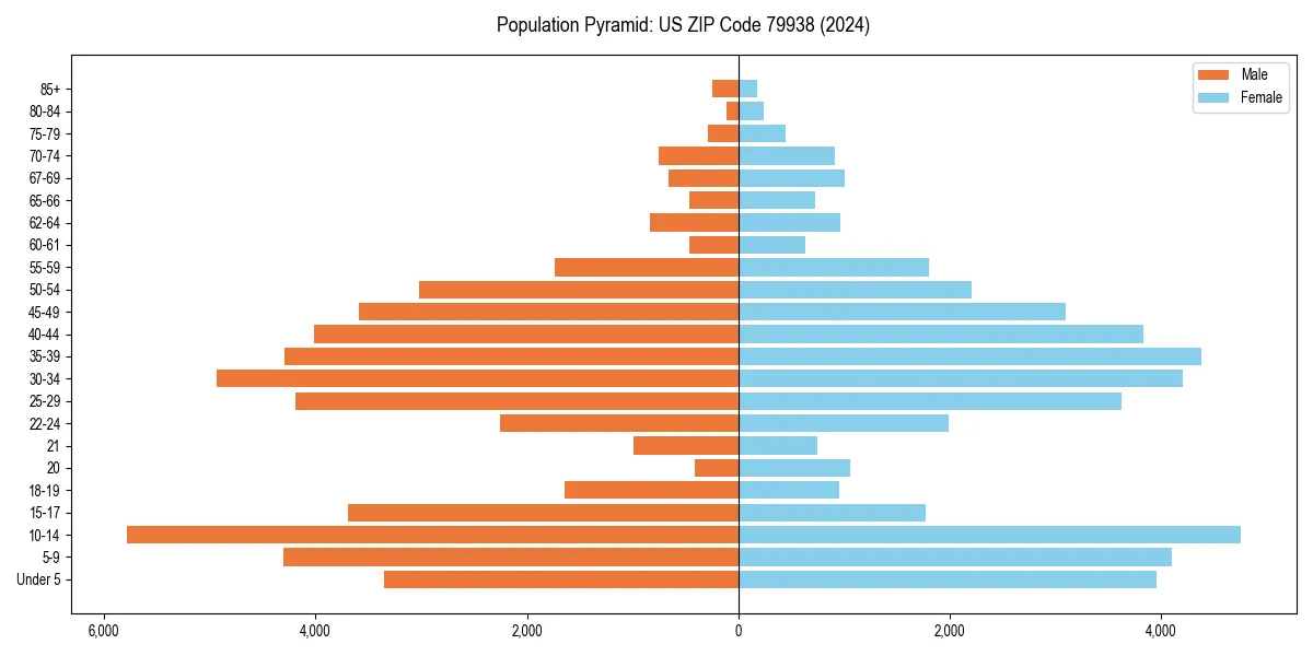 Population pyramid for