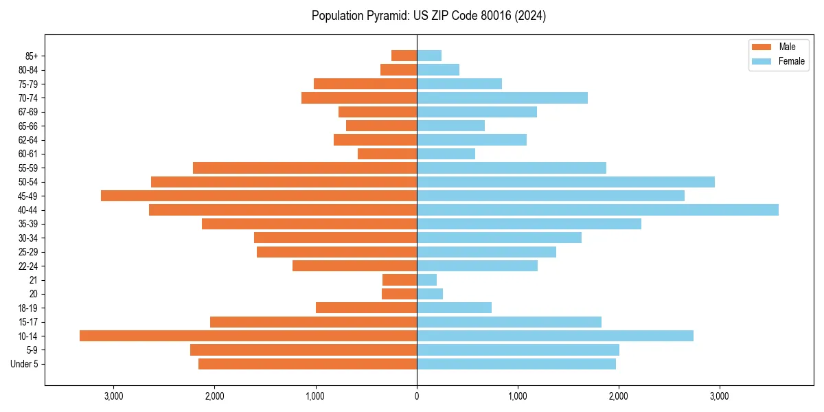 Population pyramid for 