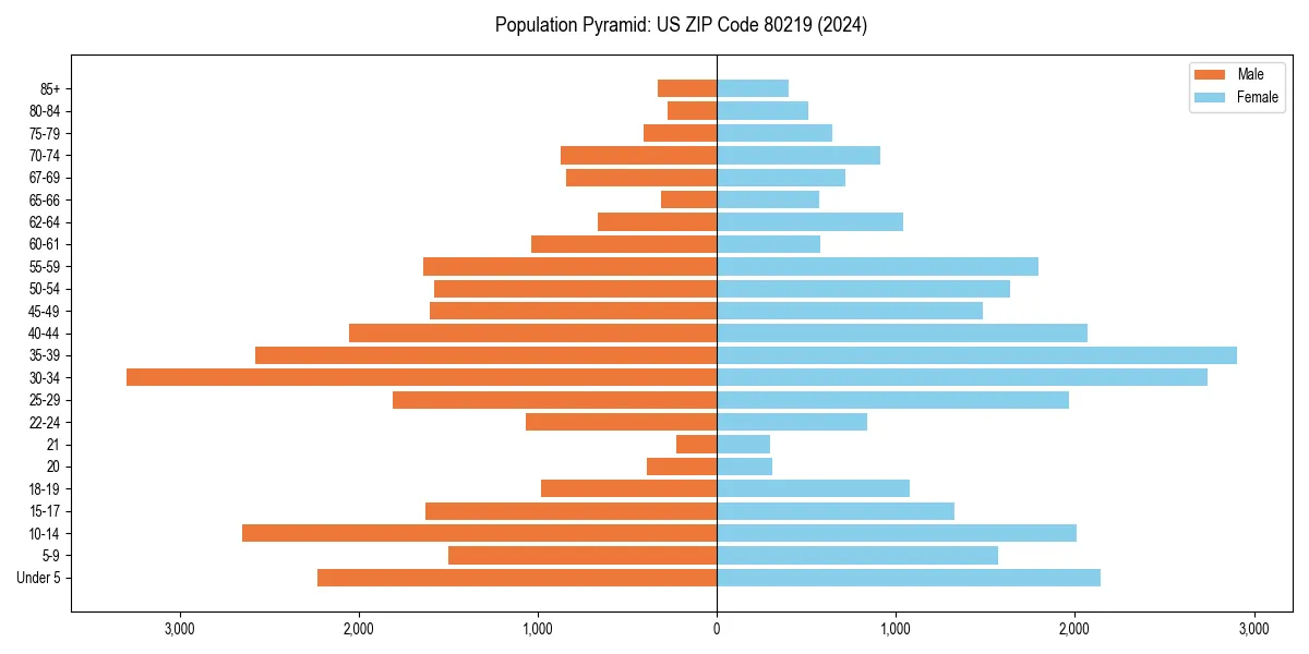 Population pyramid for 