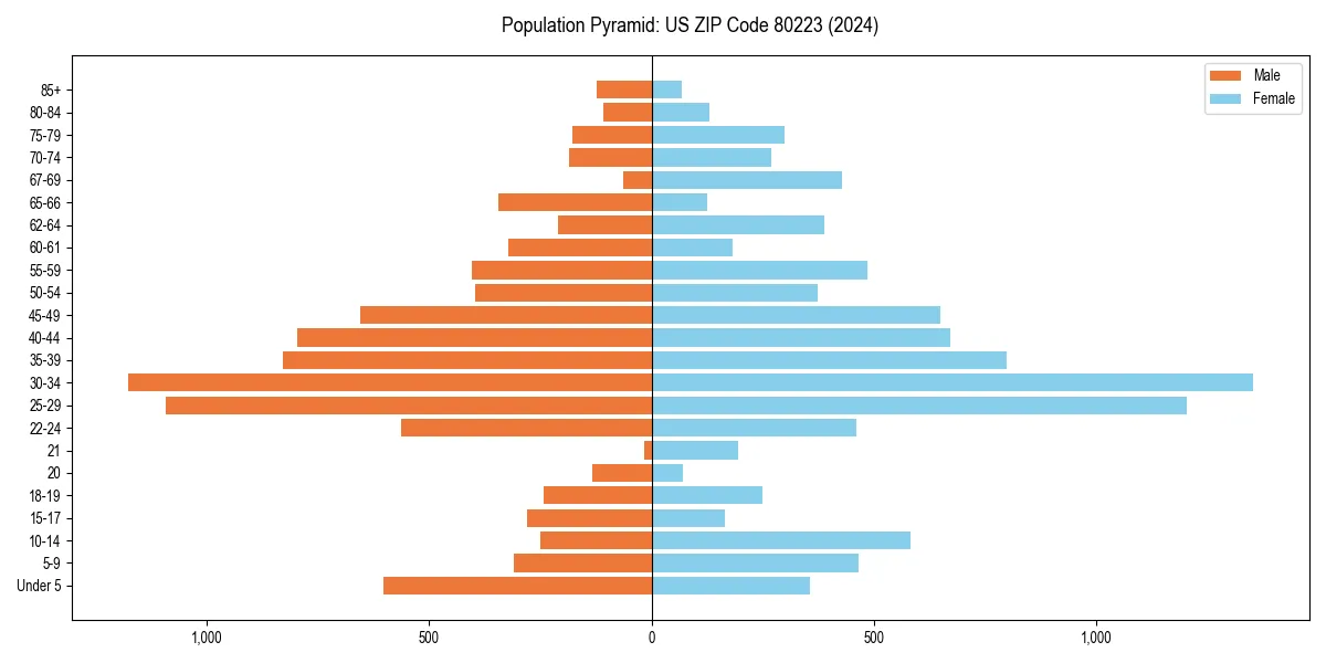 Population pyramid for 