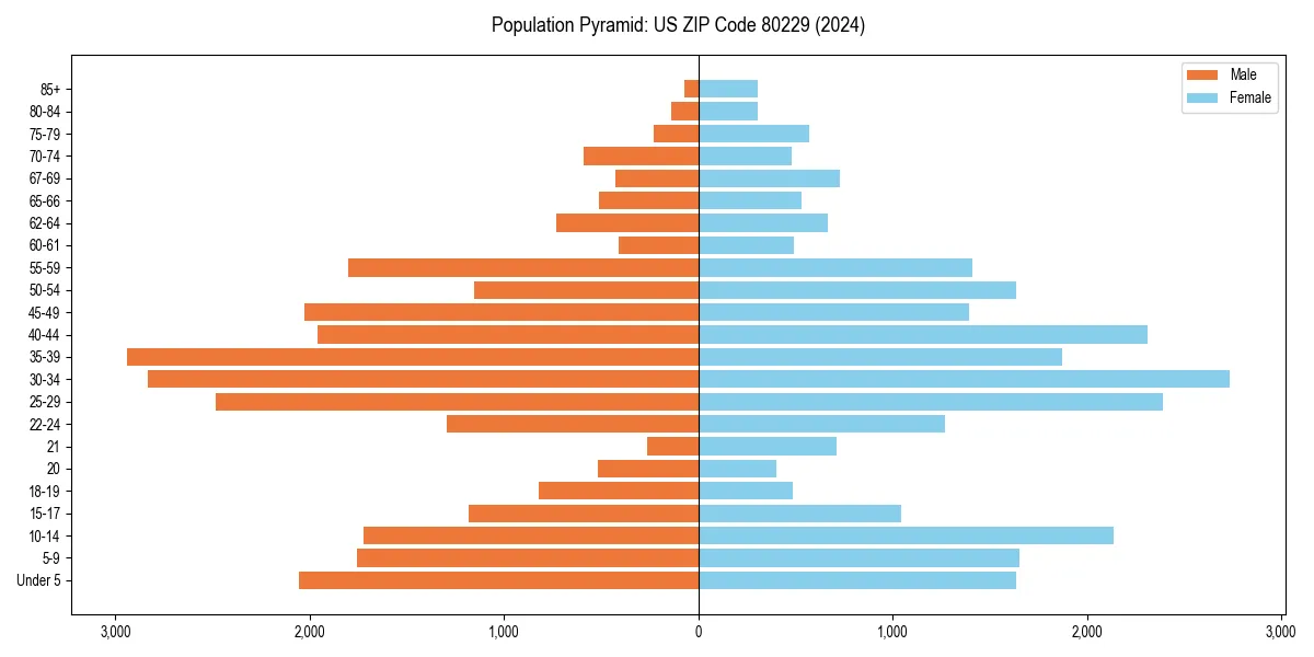 Population pyramid for