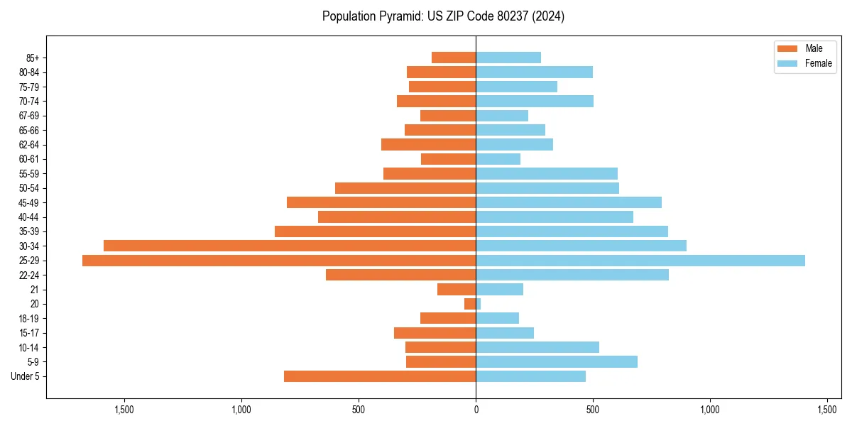 Population pyramid for 