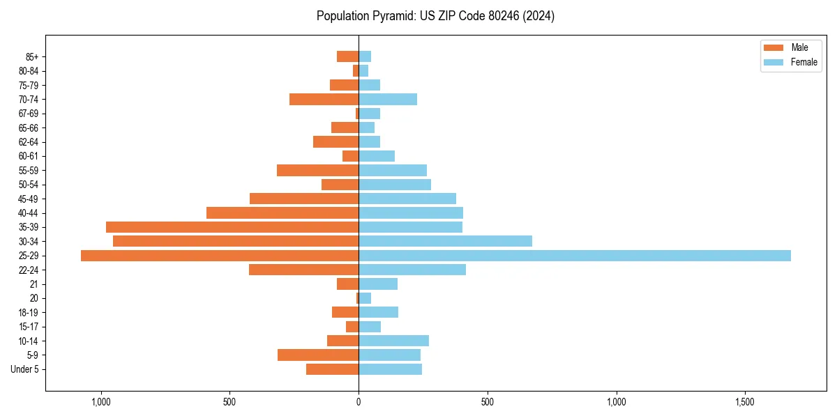 Population pyramid for 