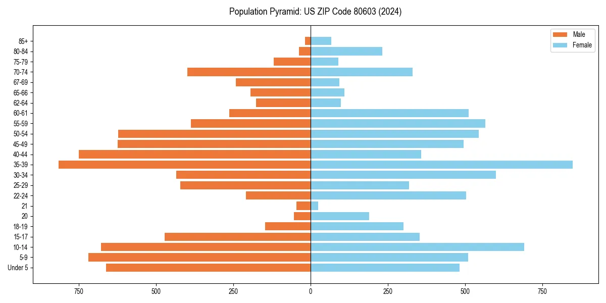 Population pyramid for 