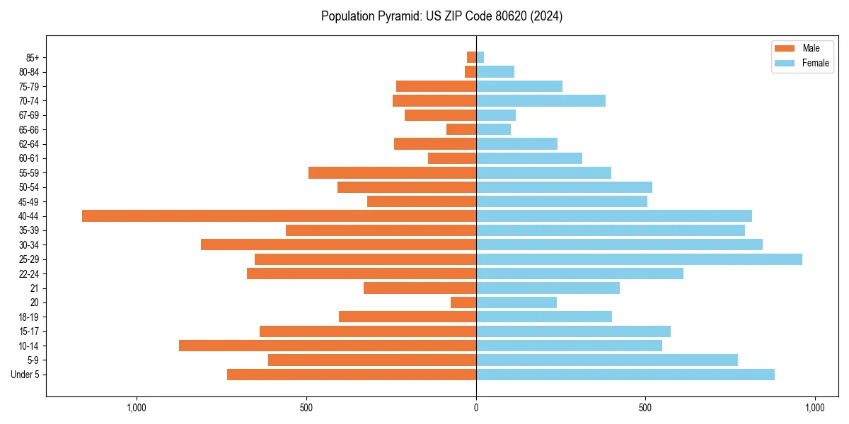 Population pyramid for 